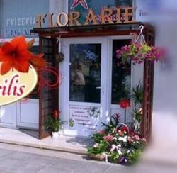 Floraria Amarilis Botosani, program de funcționare
