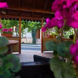 Casa Adi si Maria, Mahmudia program de funcționare