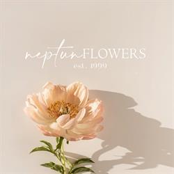 Neptun Flowers, Satu Mare program de funcționare