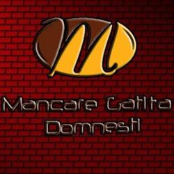 Mancare Gatita Domnesti IF, program de funcționare
