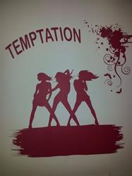 Erotic Temptation Selimbar, program de funcționare