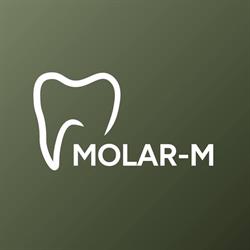 Molar-M, Bucureşti program de funcționare