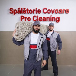 Spălătorie Covoare Timișoara - Pro Cleaning, Timişoara program de funcționare