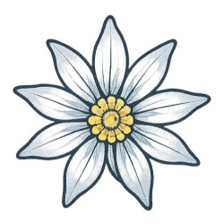 Eternya, Cluj-Napoca program de funcționare