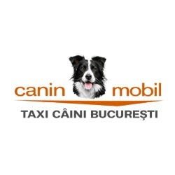 Avi Euronatexim Group Srl în Bucureşti, Titan - program de funcționare