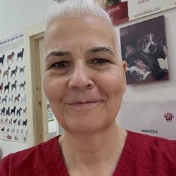 Clinica Veterinară Bassy, Dumbrăviţa program de funcționare