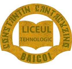 Liceul Tehnologic Constantin Cantacuzino, Băicoi program de funcționare