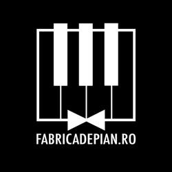 Fabrica De Pian, Petroşani program de funcționare