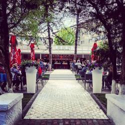 Dream Bar Lounge, Slănic program de funcționare