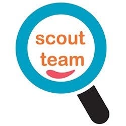 Scout Team DO, Bucureşti program de funcționare