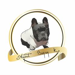 Agent Bugsy Spa, Floreşti program de funcționare