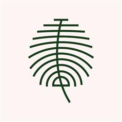 Lang.S Barefoot, Timişoara program de funcționare