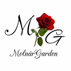 MolnarGarden, Lopadea Nouă program de funcționare
