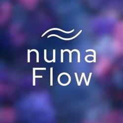 numaFlow, Baia Mare program de funcționare