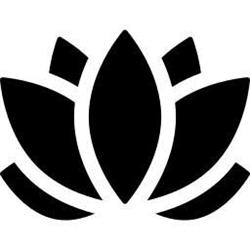Flora Studio, Deva program de funcționare