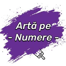 Artă pe Numere, Bucureşti program de funcționare
