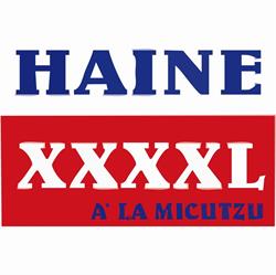 HAINE XXXXL ALAMICUTZU, Târgu Mureş program de funcționare