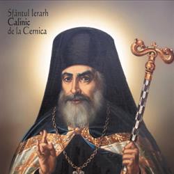 Mănăstirea Cernica, program de funcționare