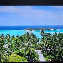 Rixos travel agency, Focşani program de funcționare