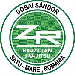 ZR Team Satu Mare, program de funcționare
