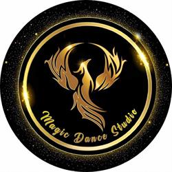 Magic Dance Studio, Deva program de funcționare