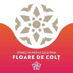 Balul Vienez, Timişoara program de funcționare