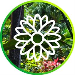 Gradina Monteoru, Bucureşti program de funcționare