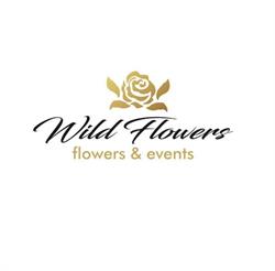 Wild Flowers, Baia Mare program de funcționare