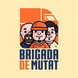 Brigada de Mutat, Timişoara program de funcționare