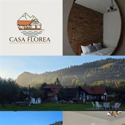 Casa Florea Stanceni, Stânceni program de funcționare