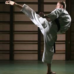 Karate Seido Timisoara, program de funcționare