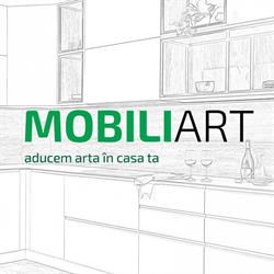 MobiliArt, Voluntari program de funcționare