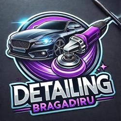 Detailing Bragadiru, program de funcționare
