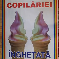 Bucuria Copilariei, Şcheia program de funcționare