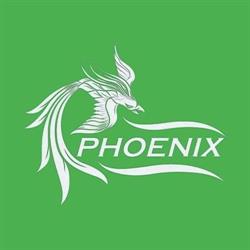 Şcoala de şoferi Phoenix Turda, program de funcționare