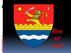 Primăria Fârdea, program de funcționare