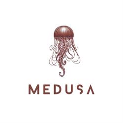 Medusa Universe, Bucureşti program de funcționare