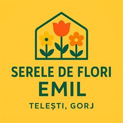 Serele de flori Emil-Teleşti,Gorj, program de funcționare