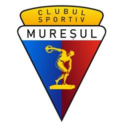 Clubul Sportiv Mureşul Bazin Olimpic, Târgu Mureş program de funcționare