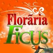 Floraria Ficus, Bacău program de funcționare