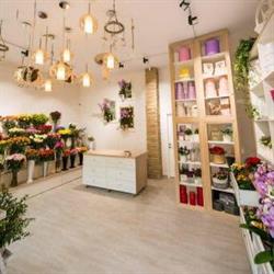 Floraria Adelle, Călăraşi program de funcționare