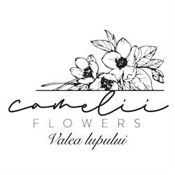 Camelii Flowers, Valea Lupului program de funcționare