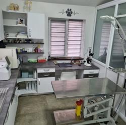 Cabinet Veterinar Mîndra Vet's, program de funcționare