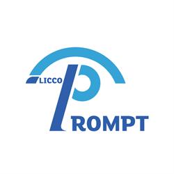Licco Prompt, Arad program de funcționare