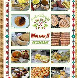 Joka & Szili Molnar II, Reghin program de funcționare