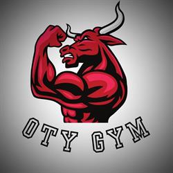 Centrul Sportiv OTY GYM, Adjud program de funcționare