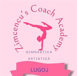 Zimcencu's Coach Academy, Lugoj program de funcționare