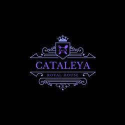 Cataleya Royal House, Botoşani program de funcționare