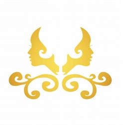 Salon MeiSys, Fieni program de funcționare