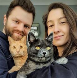 Cabinet Veterinar Famvet-DVH, Zalău program de funcționare